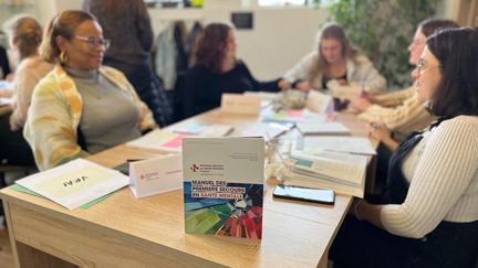 Une formation de secouriste en santé mentale dispensée à Lyon par  l’association Premiers Secours en Santé Mentale-France. (PSSM FRANCE)