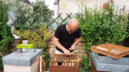 Mickael, apiculteur, sélectionne les mâles avec lesquels il va inséminer ses reines. (ALAIN GASTAL / RADIO FRANCE)