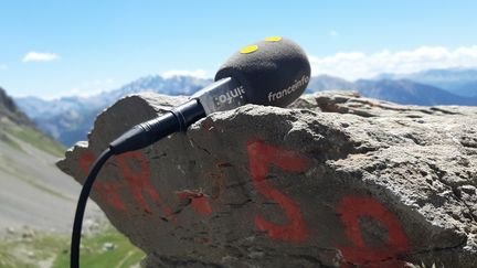 Sur les sentiers du GR58, à travers le parc naturel du Queyras. (VALENTIN DUNATE / RADIO FRANCE)