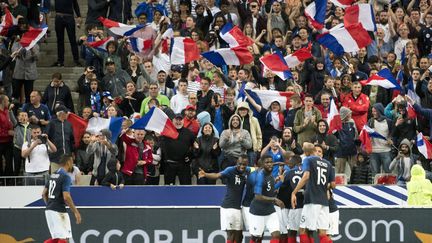 Des supporters se réjouissent après un but de l'équipe de France contre l'Irlande lors d'un match amical&nbsp;au Stade de France (Saint-Denis), le 28 mai 2018. (ANDREW SURMA / NURPHOTO / AFP)