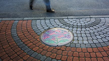 Plaque d'égout, Sagamihara, prefecture de Kanagawa, Japon, novembre 2017
 (BEHROUZ MEHRI / AFP)