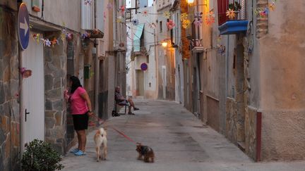 Une femme prom&egrave;ne deux chiens dans la vieille ville de Tarragone (Espagne), le 5 mai 2015.&nbsp; (MANUEL COHEN / MANUEL COHEN)