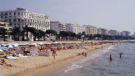 Une plage de Cannes (Alpes-Maritimes), le 27 juin 2014. (STEPHANIE COLASANTI / THE ART ARCHIVE / AFP)