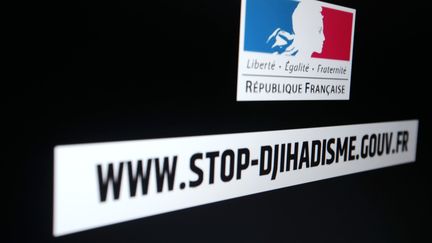 Djihadistes français : l'appel des familles