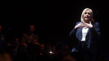 Marine Le Pen en meeting à Reims (Marne), le 5 février 2022. (FRANCOIS LO PRESTI / AFP)