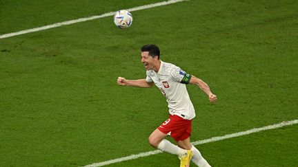 Robert Lewandowski après son but contre l'Arabie saoudite, le 26 novembre 2022 à Al-Rayyan. (MANAN VATSYAYANA / AFP)