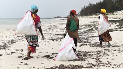 Charriés par les rivières ou par le ressac des vagues depuis l'autre bout de la planète, ces déchets "peuvent arriver d'Inde, des Philippines. Parfois, on est choqués", raconte à l'AFP une volontaire. "Nous pouvons en ramasser jusqu'à une tonne sur (une distance de) deux kilomètres." (SIMON MAINA / AFP)