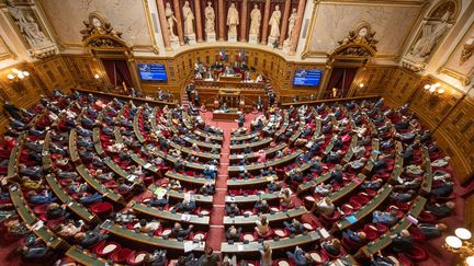 L'hémicycle du Sénat, à Paris, le 2 juin 2021. (SANDRINE MARTY / HANS LUCAS / AFP)