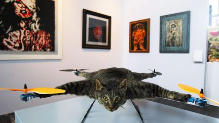 Orville, le chat-h&eacute;licopt&egrave;re, une oeuvre expos&eacute;e au KunstRai &agrave; Amsterdam (Pays-Bas), le 30 mai 2012. (ADE JOHNSON / MAXPPP)