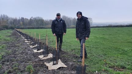 L'agroforestier&nbsp;Arnaud Deltour et l'agriculteur Jacques Gravier plantent des haies à Bruay-la-Buissière (Hauts-de-France). (BORIS HALLIER / RADIO FRANCE)