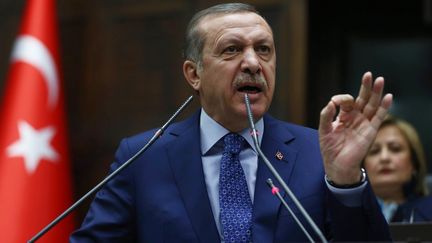 Le Premier ministre turc&nbsp;Recep Tayyip Erdogan, &agrave; Ankara, la capitale turque, le 18 f&eacute;vrier 2014. (ADEM ALTAN / AFP)