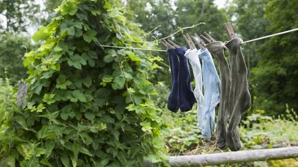 L'association Chaussettes orphelines recueille les paires qui ne sont plus assortiers et recycle le textile (illustration). (MAXPPP)