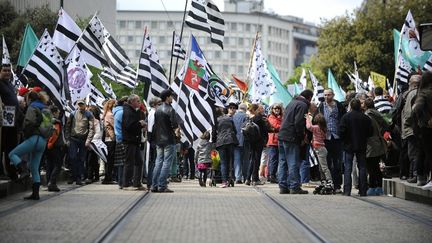 Manifestation &agrave; Nantes (Loire-Atlantique) en faveur du rattachement du d&eacute;partement &agrave; la Bretagne, le 19 avril 2014. (JEAN-SEBASTIEN EVRARD / AFP)