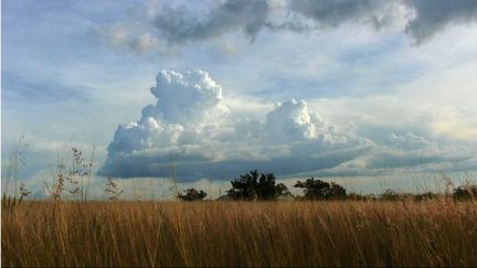 Ce film reconstitue le voyage de son père dOaxaca à Tamaulipas, à la frontière nord, quand il passait de la drogue aux Etats-Unis. Edgardo Aragon effectue un voyage parallèle, anti-épique, où le paysage occupe une place prépondérante
 (Matamoros, 2009, vidéo couleur, Courtesy de l’artiste)