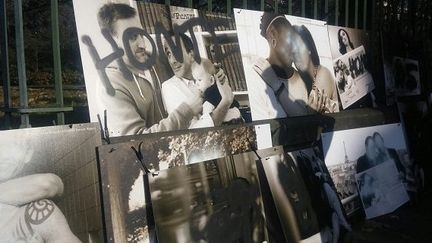 Les photos de l'exposition contre l'homophobie vandalisées à Toulouse.
 (Emmanuel Wat/France 3 Midi-Pyrénées )