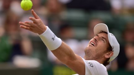 Andy Murray  (LEON NEAL / AFP)