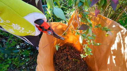 Coupez les branchages en tout petits morceaux pour obtenir un super paillage.&nbsp; (ISABELLE MORAND / DIDIER HIRSCH / RADIO FRANCE / FRANCE INFO)