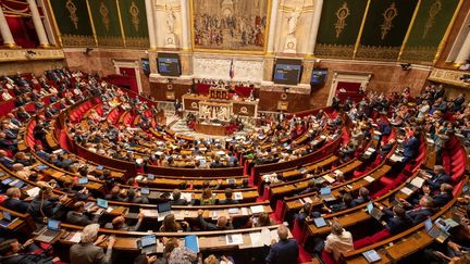 L'hémicycle de l'Assemblée nationale, le 18 juillet 2022. (STEPHANE MOUCHMOUCHE / HANS LUCAS / AFP)