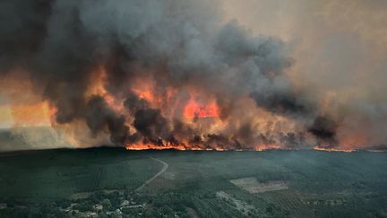 Le feu reste très difficile à maîtriser en Gironde, mercredi 10 août.&nbsp;Devant l’ampleur de la catastrophe, les&nbsp;pompiers&nbsp;vont devoir se fixer des priorités.&nbsp;Nicolas Fleury est sur place pour en donner des explications. (SDIS 33 / AFP)