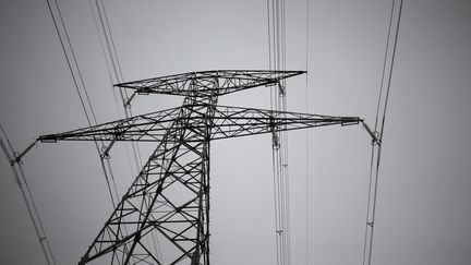 Image d'illustration de lignes à haute tension à Saint-Martin d'Aubigny (Manche), le 3 octobre 2012. (CHARLY TRIBALLEAU / AFP)