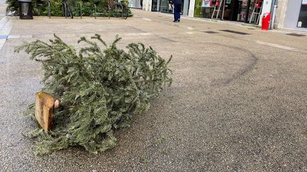 Un sapin jeté dans le centre-ville de Niort (Deux-Sèvres) le 13 janvier 2021 (NOÉMIE GUILLOTIN / FRANCE BLEU POITOU / RADIO FRANCE)