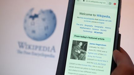 Wikipédia fête ses 20 ans (illustration 15 janvier 2021) (LORENZO DI COLA / NURPHOTO)