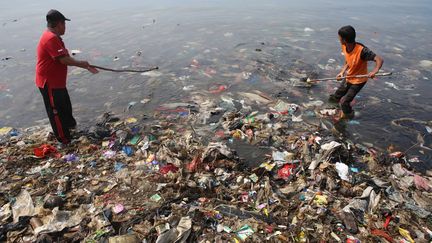 Des hommes ramassent des ordures dans la baie de Lampung, le 21 février 2019, en Indonésie. (PERDIANSYAH / AFP)