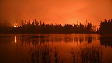 Une forêt en flammes, le 22 septembre 2021 à Johnsondale, en Californie (Etats-Unis). (PATRICK T. FALLON / AFP)