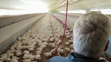 Un éleveur de la Drôme. (FRANCE 3)