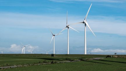 Des éoliennes situées à Hezecques (Pas-de-Calais), le 8 novembre 2022. (QUENTIN SAISON / HANS LUCAS / AFP)