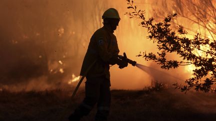 Un pompier lutte contre le feu dans la chaîne de montagnes de&nbsp;la Serra da Estrela (Portugal), le 18 août 2022.&nbsp; (JOAO HENRIQUES/AP/SIPA / SIPA)