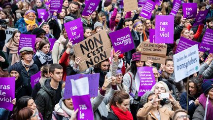 Pendant la manifestation contre les violences sexistes et sexuelles faites aux femmes, à Paris, le 24 novembre 2018.&nbsp; (CHRISTOPHE MORIN / MAXPPP)