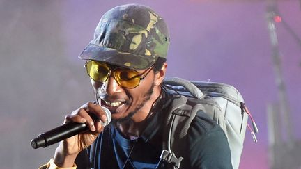 Le rappeur californien Del the Funky Homosapien, célèbre pour sa contribution au morceau "Clint Eastwood" de Gorillaz, a chuté samedi lors d'un concert au Danemark
 (Nicholas Hunt / GETTY IMAGES NORTH AMERICA / AFP)