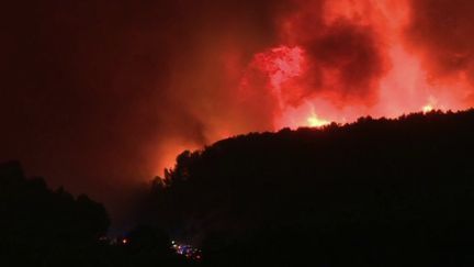 Bouches-du-Rhône : plus de 1 000 hectares ravagés par les violents incendies