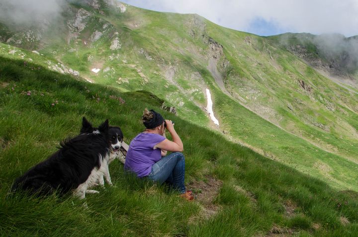 La bergère Élise Thébault surveille son troupeau, le 17 juillet 2018 à Etsaut (Pyrénées-Atlantiques). (THOMAS BAÏETTO / FRANCEINFO)