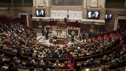 L'hémicycle de l'Assemblée nationale, le 7 novembre 2018. (THOMAS SAMSON / AFP)