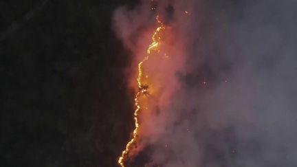 Sibérie : des incendies ravagent 800 000 hectares de forêts. (FRANCE 2)