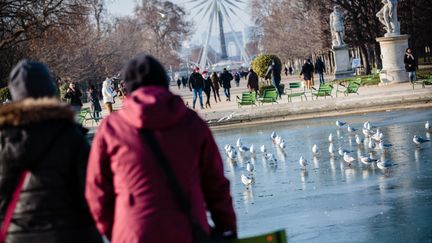 Au jardin des Tuileries, à Paris, les fontaines sont gelées, le 19 janvier 2017.&nbsp; (MAXPPP)