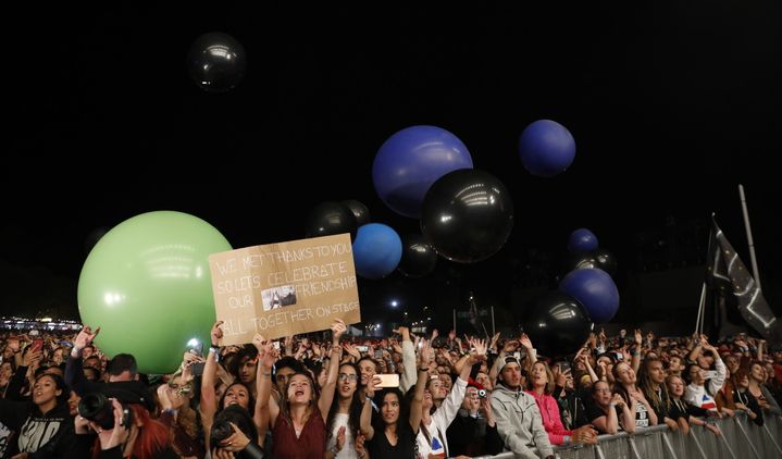 Les fans de Thirty Seconds To Mars à Rock en Seine samedi.
 (Gilles Scarella / FTV)