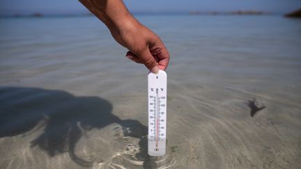 La Méditerranée est particulièrement soumise aux canicules sous-marines. (VINCENT FEURAY / HANS LUCAS VIA AFP)