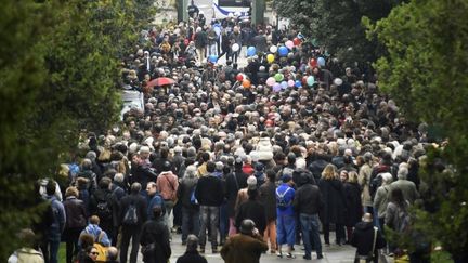 La foule aux obsèques de Jacques Higelin au cimetière du Père Lachaise à Paris (12/04/2018)
 (BERTRAND GUAY / AFP)