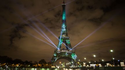 Une photo d'arbres est projetée sur la tour Eiffel, le 29 novembre 2015 à Paris. Il s'agit d'une installation de l'artiste Naziha Mestaoui.&nbsp; (IRINA KALASHNIKOVA / RIA NOVOSTI / AFP)