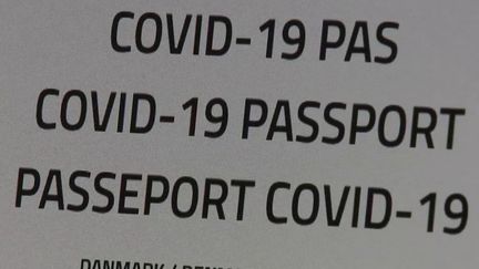 Covid-19 : le passeport vaccinal pourrait-il voir le jour en France ?