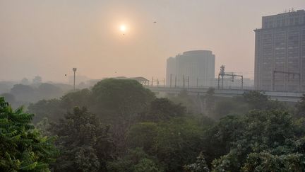 A New Delhi, le nombre de particules fines dans l'air atteint 60 fois le taux recommandé par l’OMS. (SOLENNE LE HEN / FRANCEINFO)