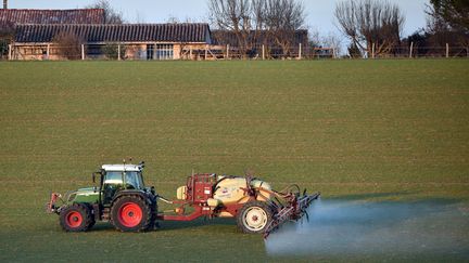 Un agriculteur traite son champ avec des produits chimiques, en décembre 2016 près de Trébons-sur-la-Grasse (Haute-Garonne).&nbsp; (REMY GABALDA / AFP)