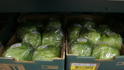 Salades : quels sont leurs bienfaits pour la santé ?