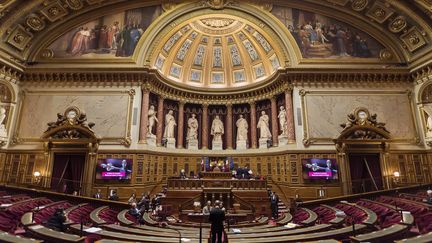 Le Senat, à Paris, le 17 novembre 2016. (LIONEL BONAVENTURE / AFP)