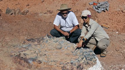 Le chercheur Ricardo Martinez et les fossiles du parc national d’Ischigualasto en Argentine, le 17 avril 2019. (HO / IMCN / AF)