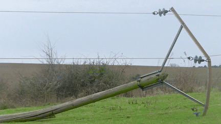 Tempête Bert : des vents jusqu’à 143 km/h ont soufflé dans la Loire (France 2)