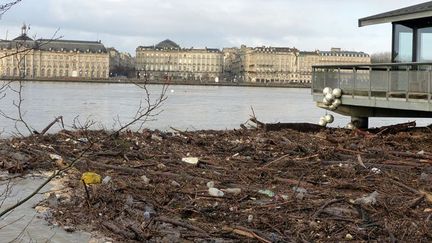 A Bordeaux et dans son agglom&eacute;ration, o&ugrave; la Garonne &eacute;tait d&eacute;j&agrave; sortie de son lit samedi matin, les d&eacute;bordements enregistr&eacute;s dans la soir&eacute;e n'ont entra&icirc;n&eacute; aucune cons&eacute;quence s&eacute;rieuse dimanche matin. ( C. ROUX FRANCE 3 AQUITAINE)